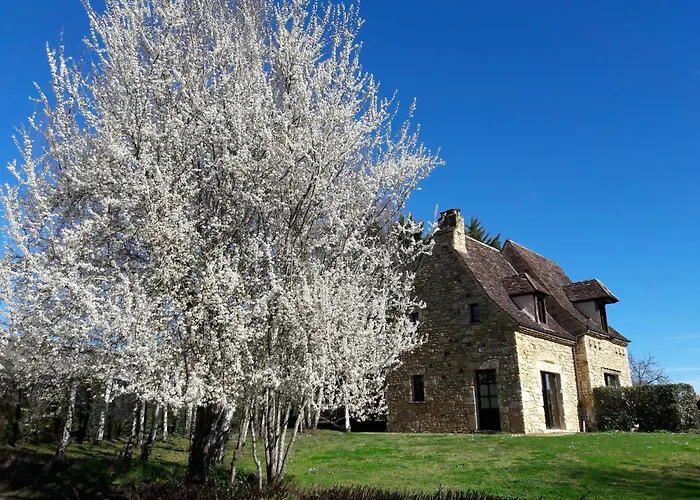 Les Granges Hautes, Maisons De Vacances, Proches De Sarlat Avec Piscine, Parc, Saint-Crepin-et-Carlucet