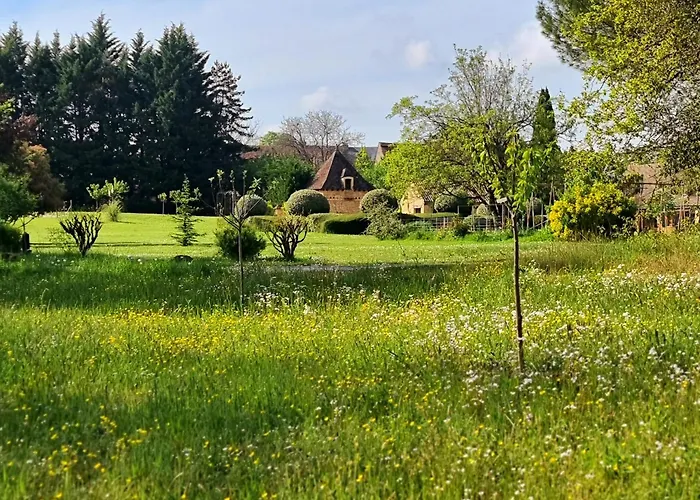 Les Granges Hautes, Maisons De Vacances, Proches De Sarlat Avec Piscine, Parc, Saint-Crepin-et-Carlucet